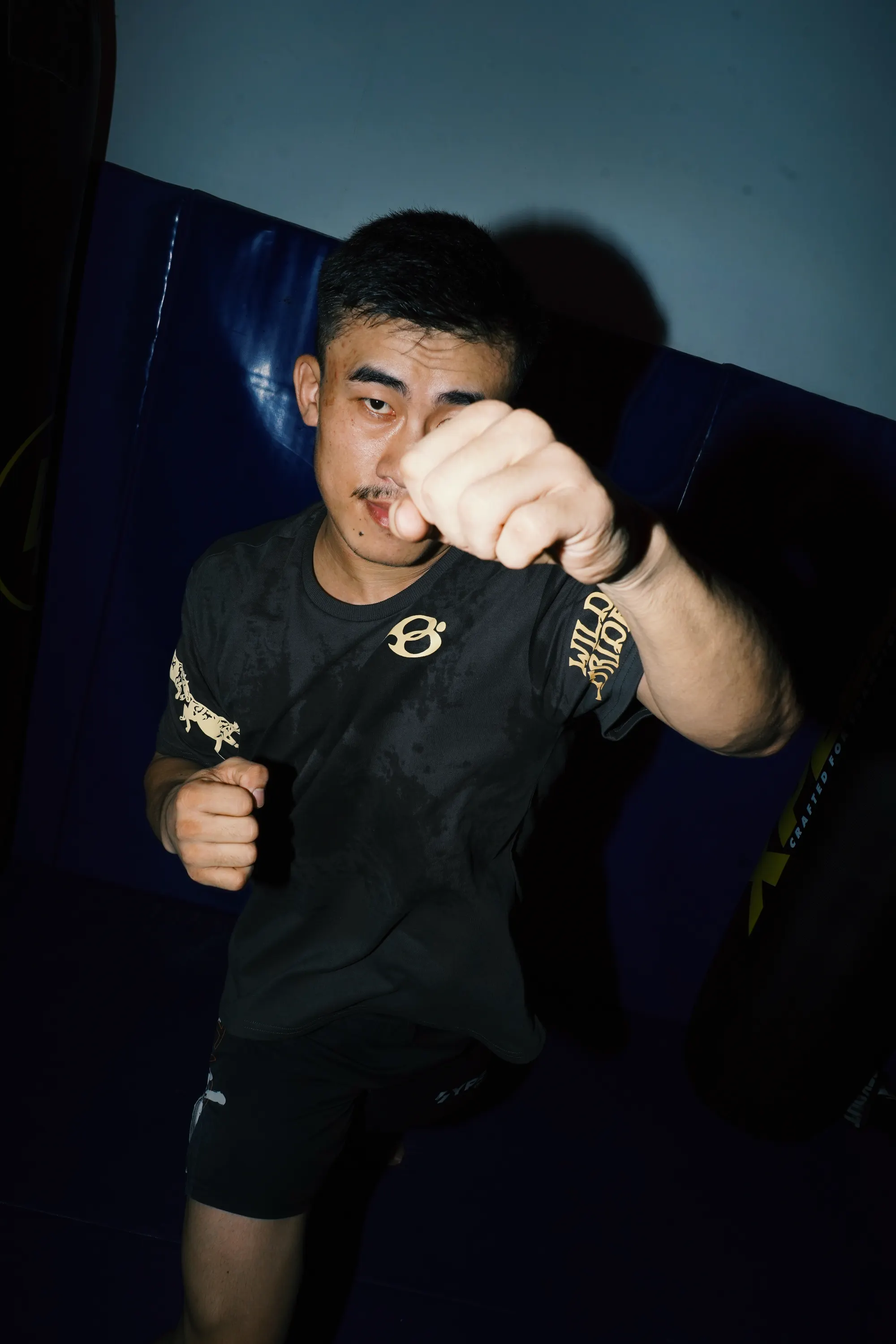 Wild Strides Tee in Ash, worn, jab into the lens